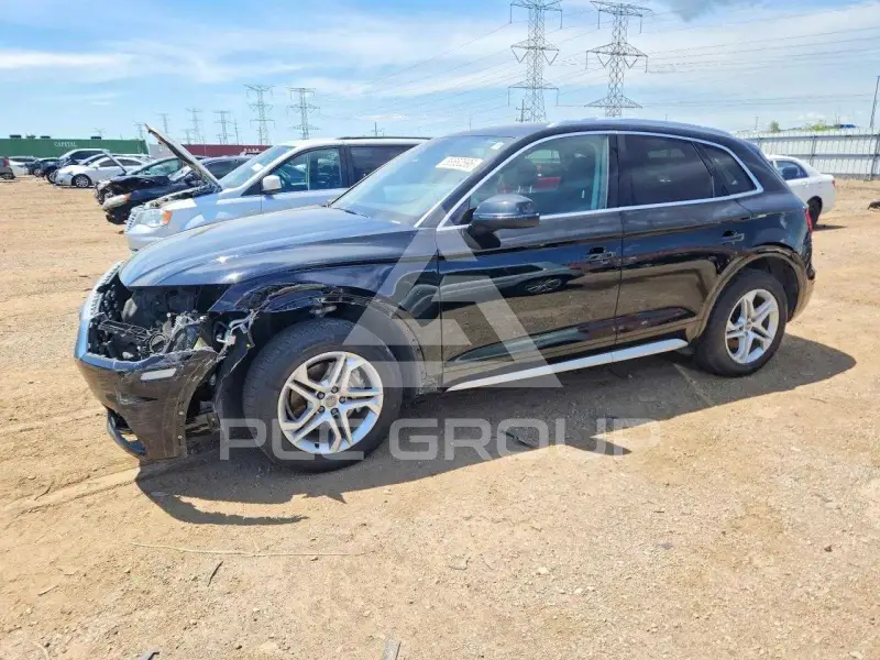 2019 Audi Q5 фото