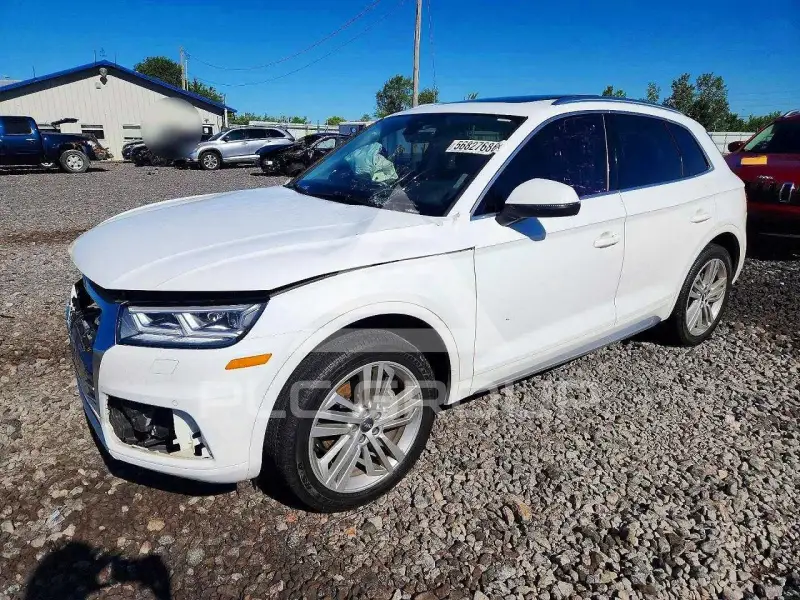 2019 Audi Q5 photo