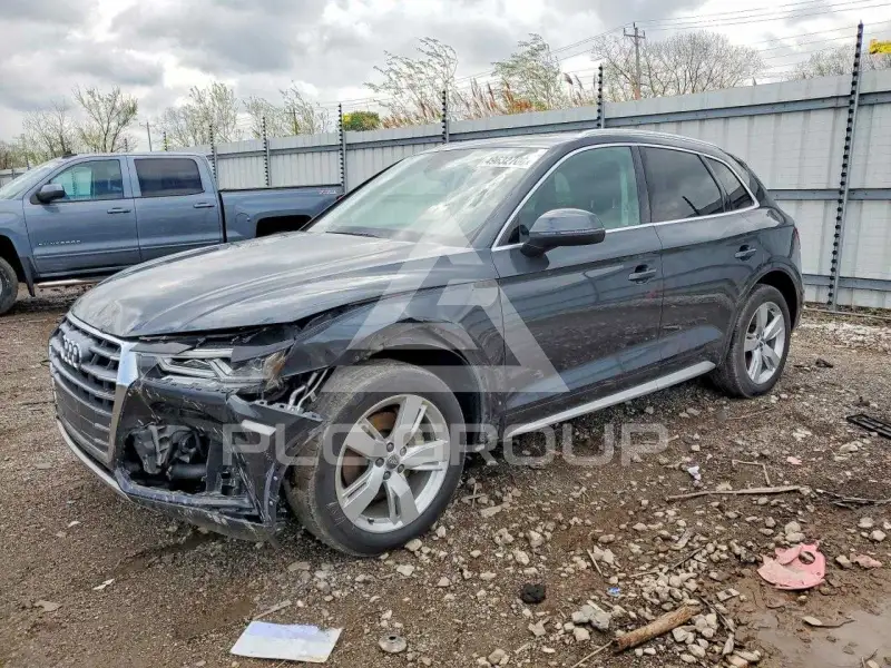 2019 Audi Q5 фото