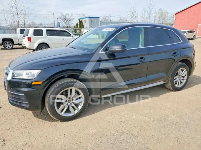 2019 Audi Q5 фото