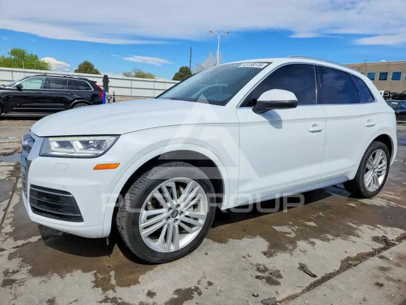 2019 Audi Q5 фото