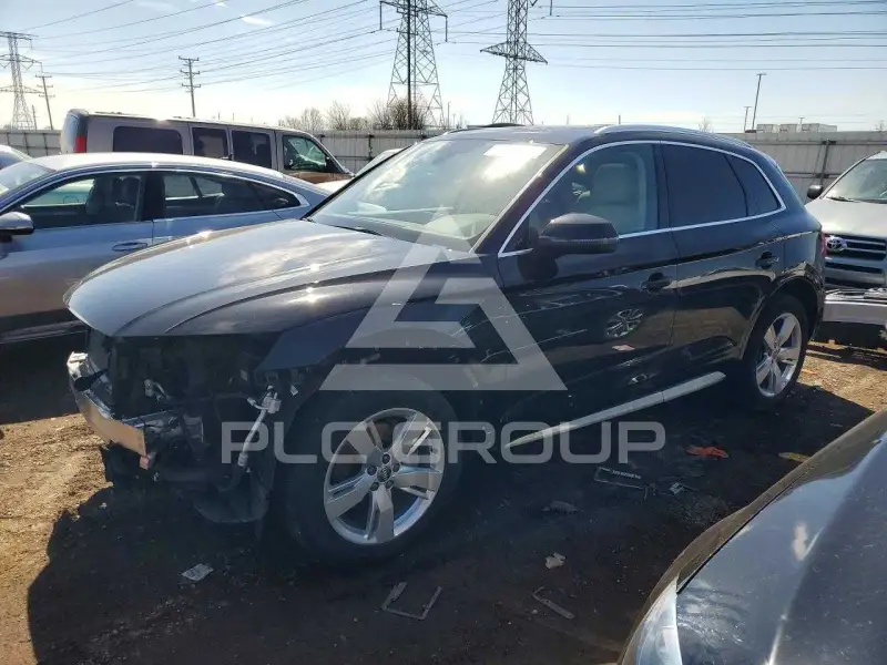 2019 Audi Q5 фото