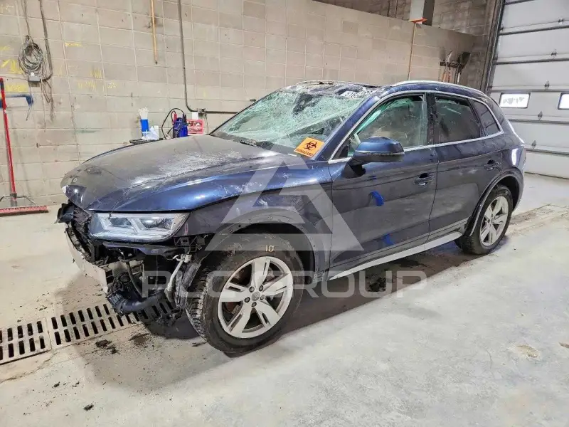 2019 Audi Q5 фото