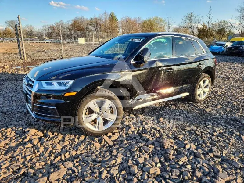 2019 Audi Q5 photo