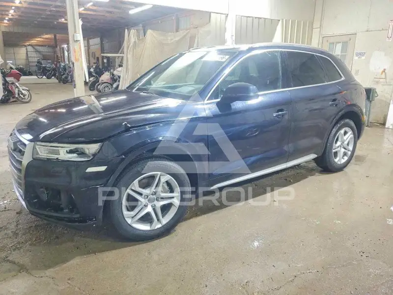 2019 Audi Q5 фото