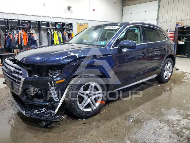 2019 Audi Q5 фото