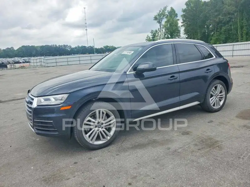 2019 Audi Q5 фото