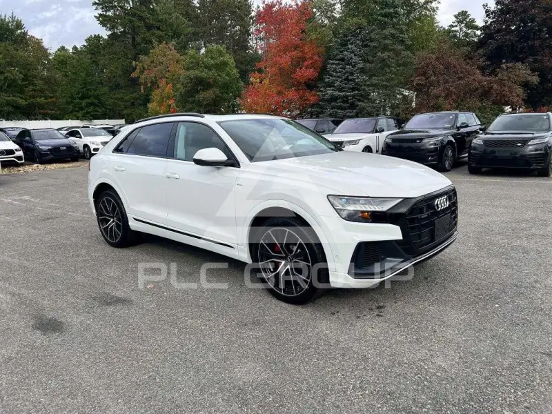 2019 Audi Q8 photo