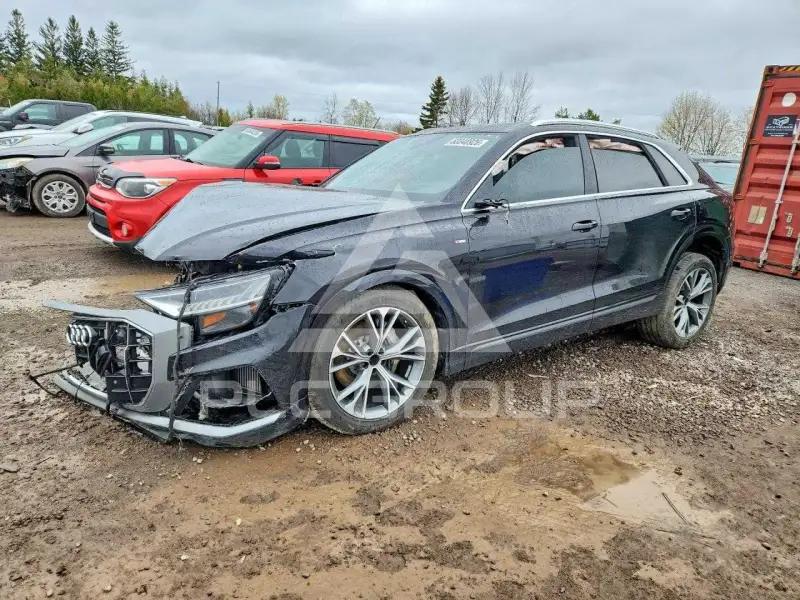 2019 Audi Q8 фото