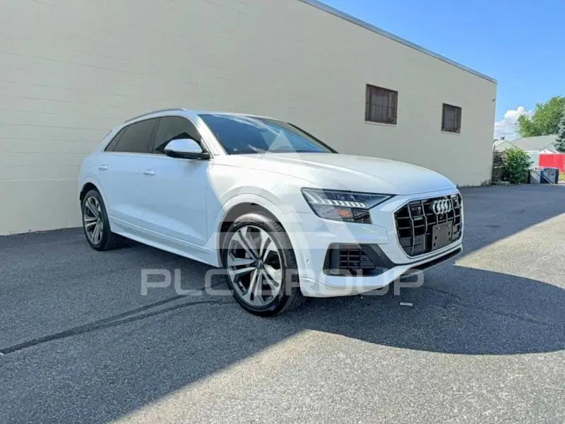 2019 Audi Q8 photo