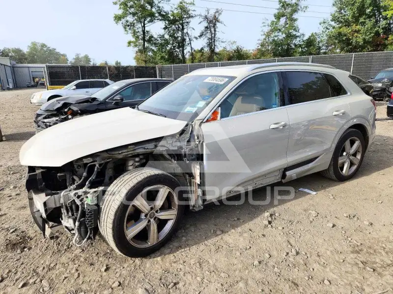 2019 Audi E-TRON фото