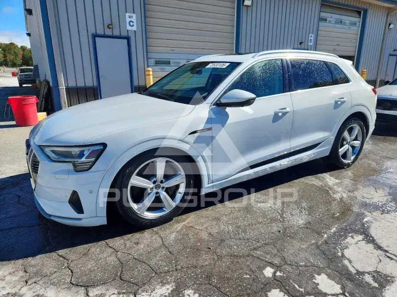 2019 Audi E-TRON фото