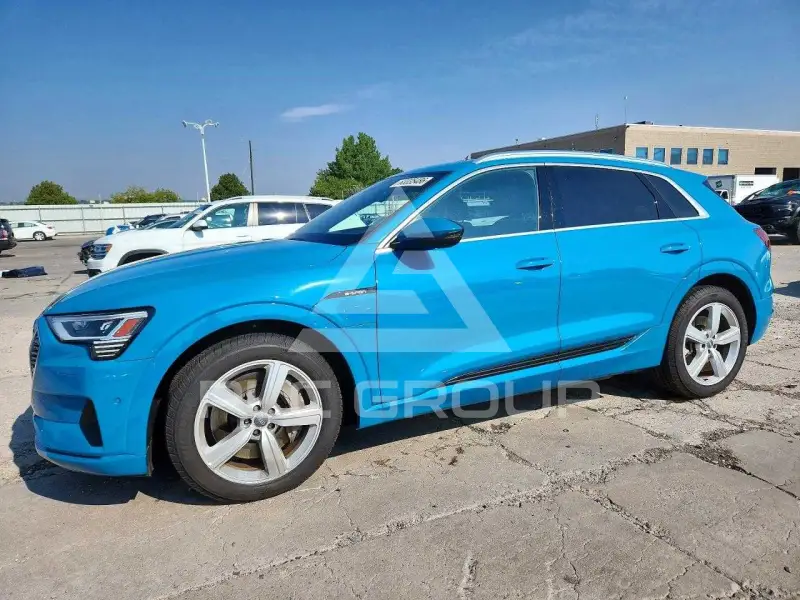 2019 Audi E-TRON фото