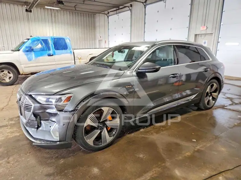 2019 Audi E-TRON фото