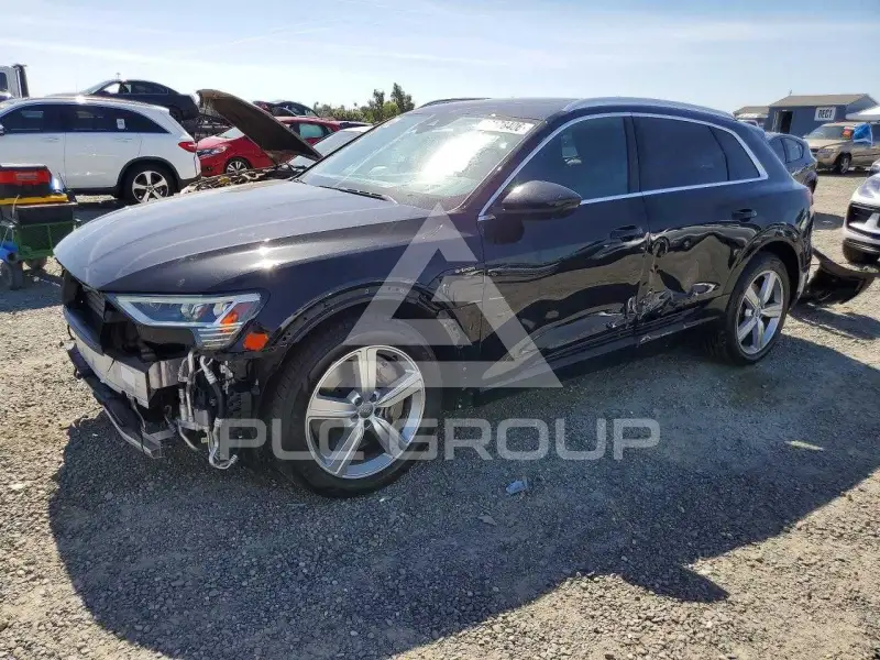 2019 Audi E-TRON фото