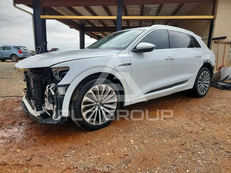 2019 Audi E-TRON фото