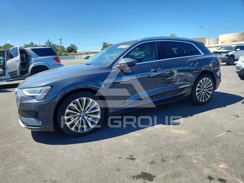 2019 Audi E-TRON photo