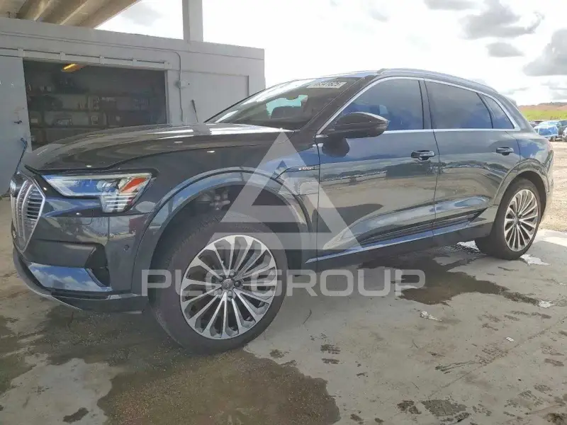 2019 Audi E-TRON фото