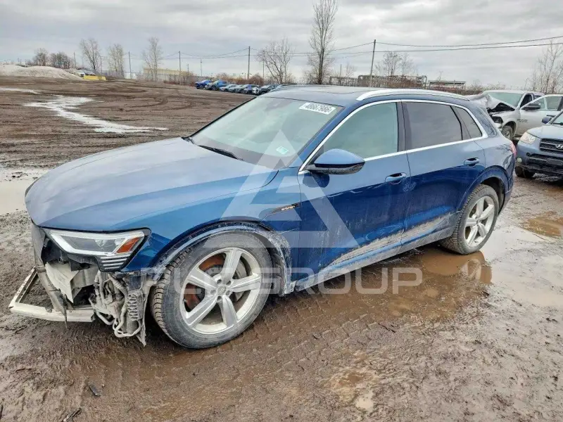 2019 Audi E-TRON фото