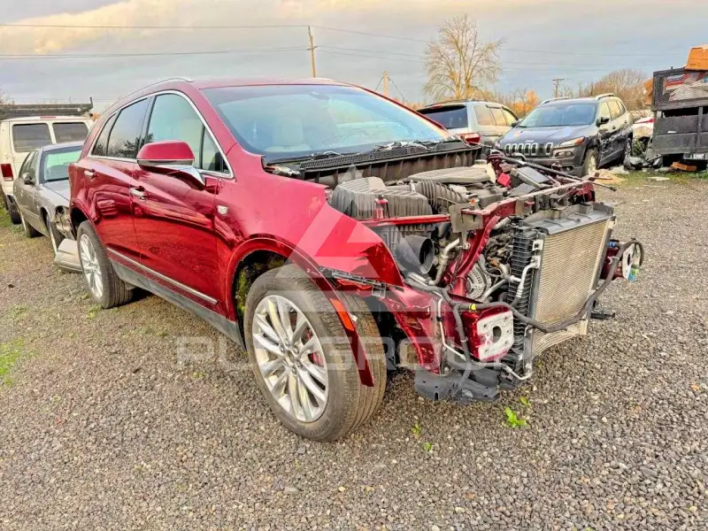 2019 Cadillac XT5 фото