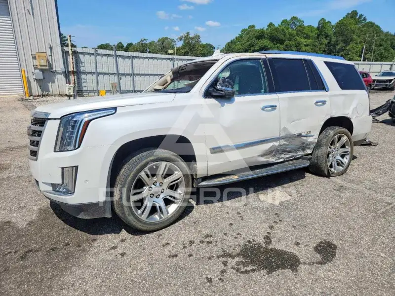 2019 Cadillac ESCALADE photo