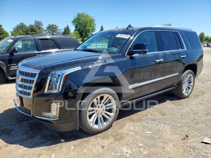 2019 Cadillac ESCALADE фото