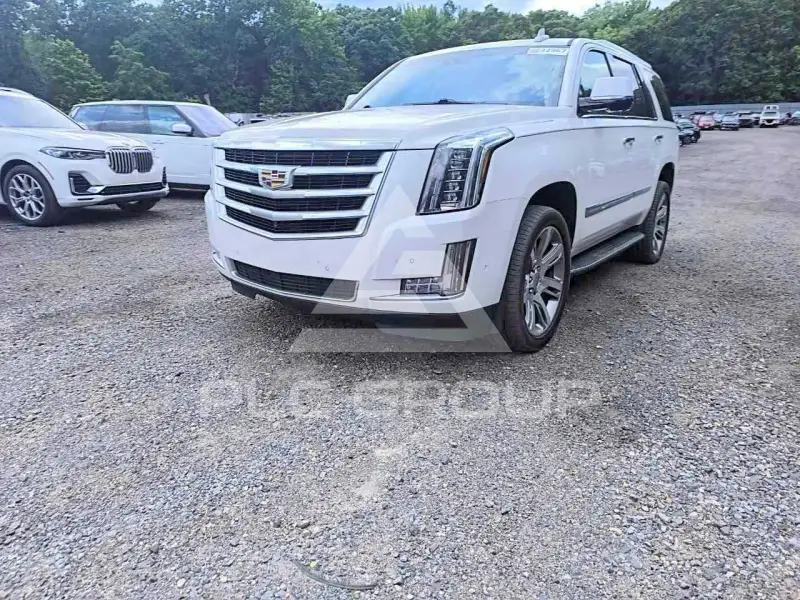 2019 Cadillac ESCALADE photo