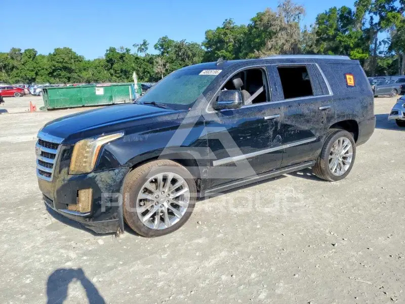 2019 Cadillac ESCALADE photo
