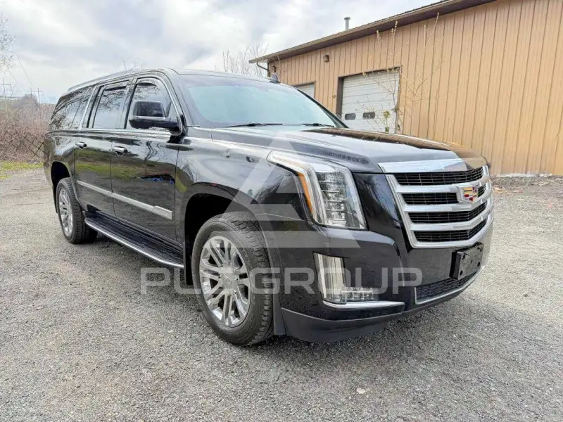 2019 Cadillac ESCALADE фото