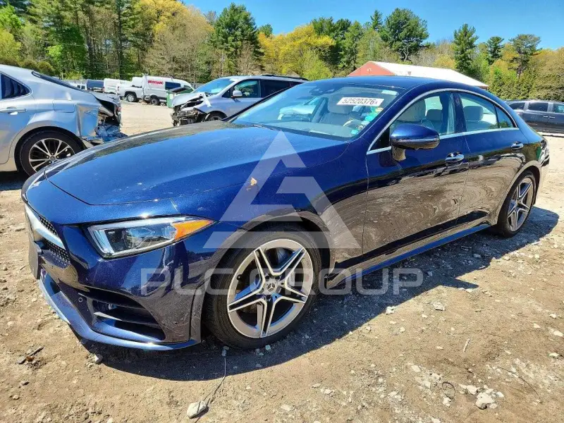 2019 Mercedes Benz CLS-Class фото