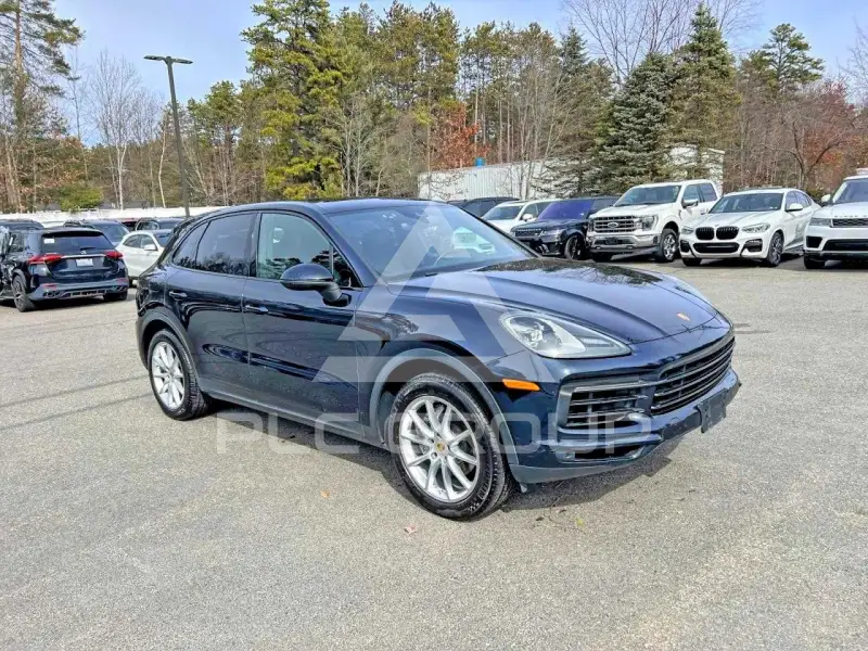 2019 Porsche Cayenne фото