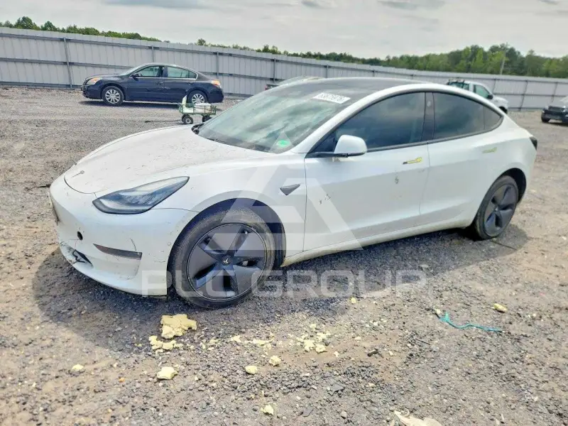 2019 Tesla Model 3 фото