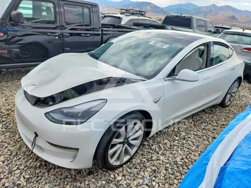 2019 Tesla Model 3 photo