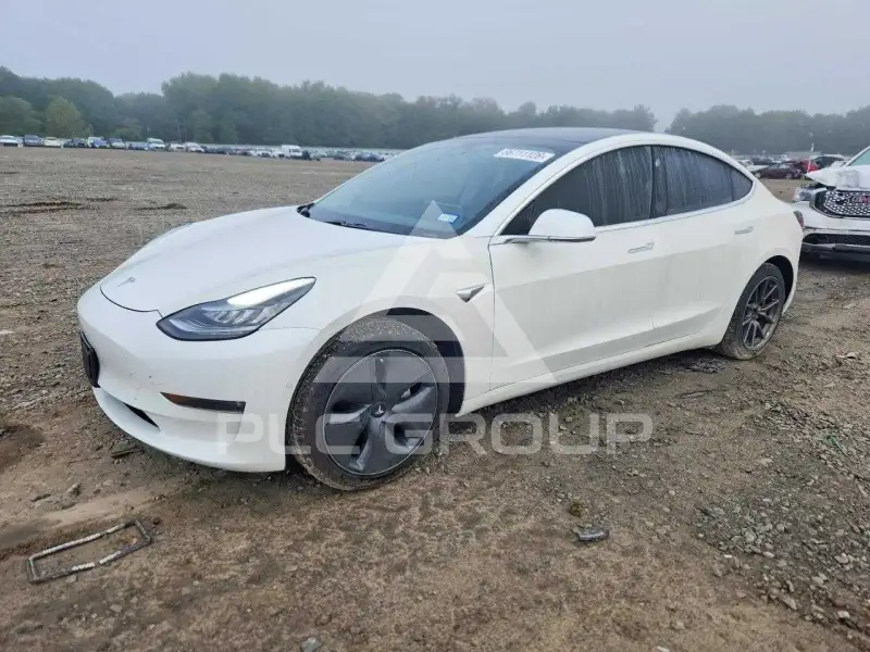 2019 Tesla Model 3 photo