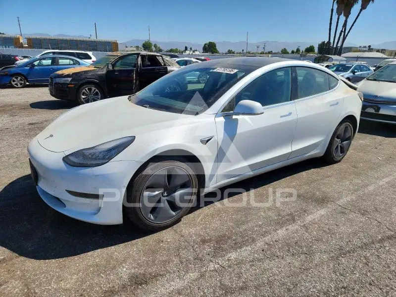 2019 Tesla Model 3 photo