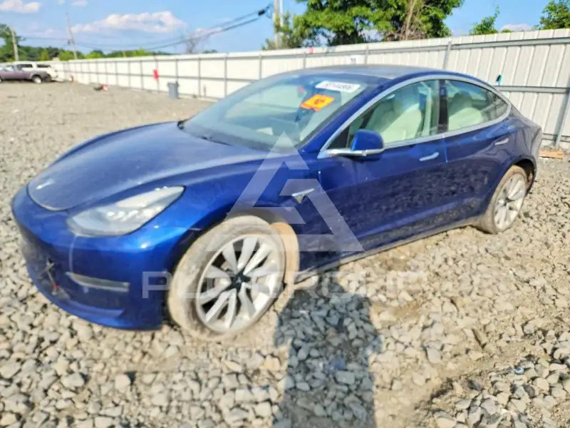 2019 Tesla Model 3 фото