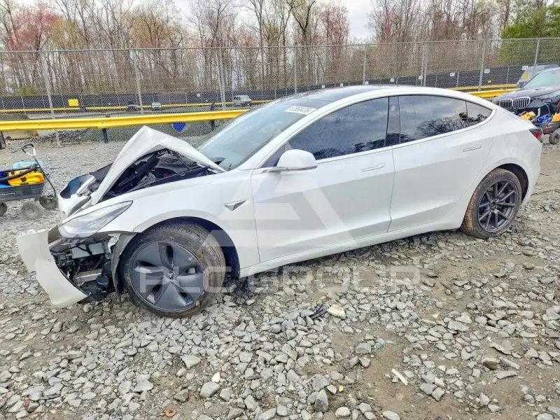 2019 Tesla Model 3 фото