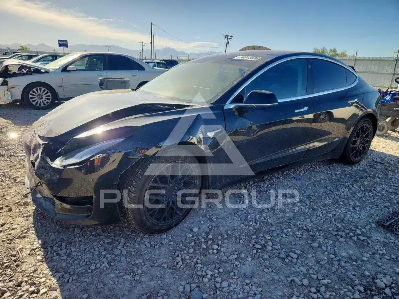 2019 Tesla Model 3 photo
