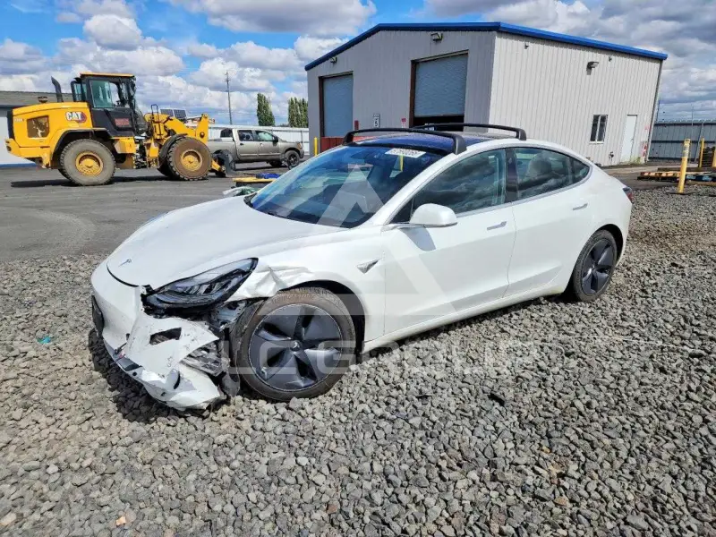 2019 Tesla Model 3 photo