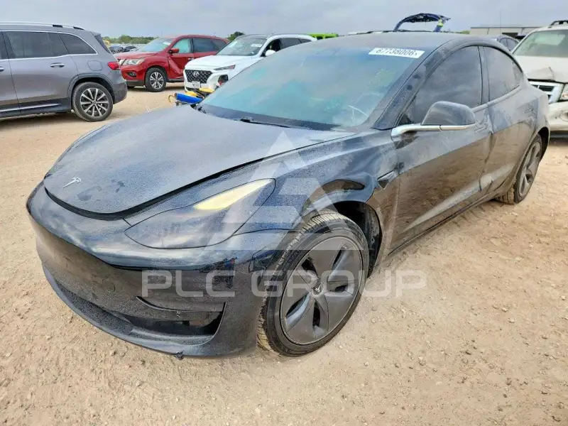 2019 Tesla Model 3 photo