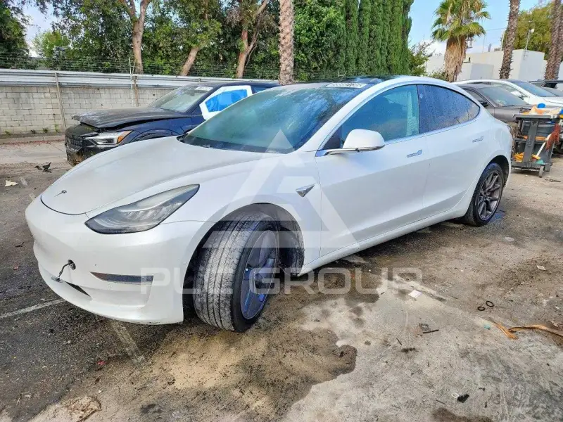 2019 Tesla Model 3 photo