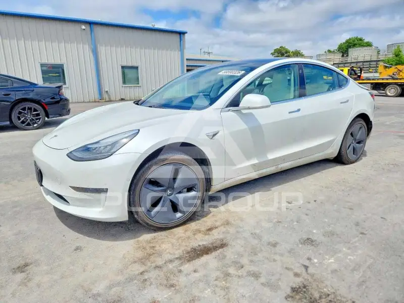 2019 Tesla Model 3 photo
