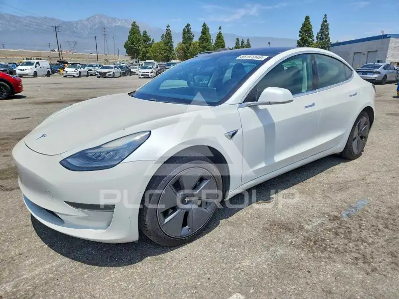 2019 Tesla Model 3 photo