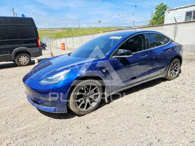 2019 Tesla Model 3 фото