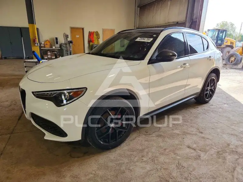 2019 Alfa Romeo Stelvio фото