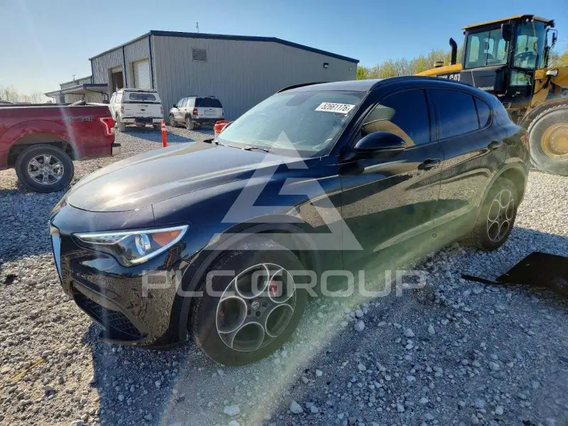 2019 Alfa Romeo Stelvio photo