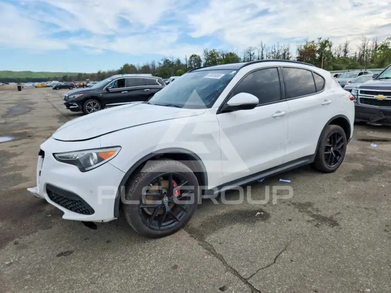 2019 Alfa Romeo Stelvio фото