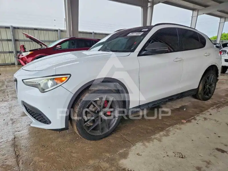 2019 Alfa Romeo Stelvio фото