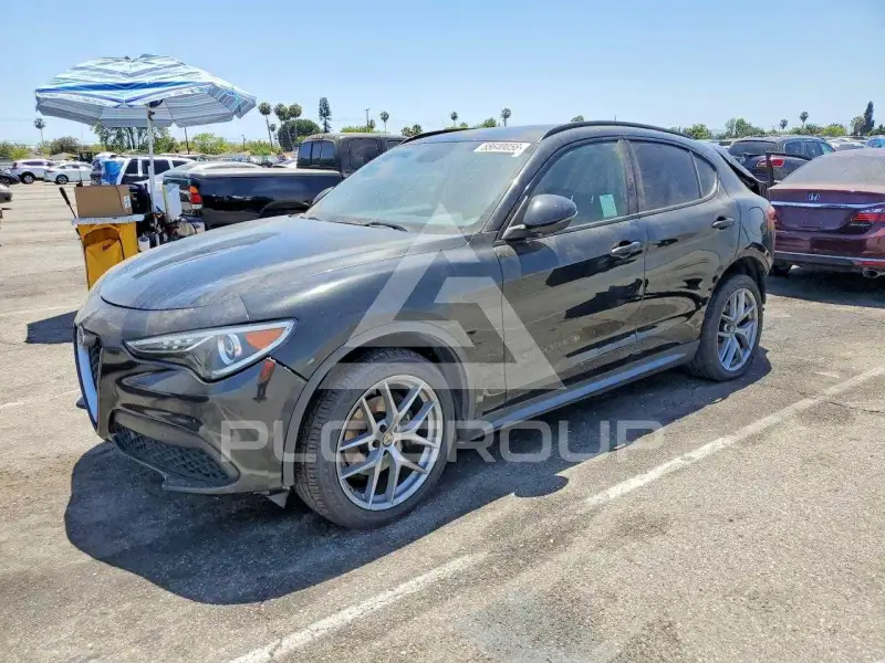 2019 Alfa Romeo Stelvio фото