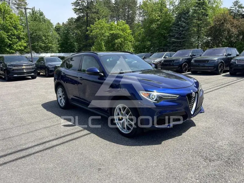2019 Alfa Romeo Stelvio фото